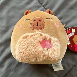 “2 for $12”  Squishmallow Lijjian NWT